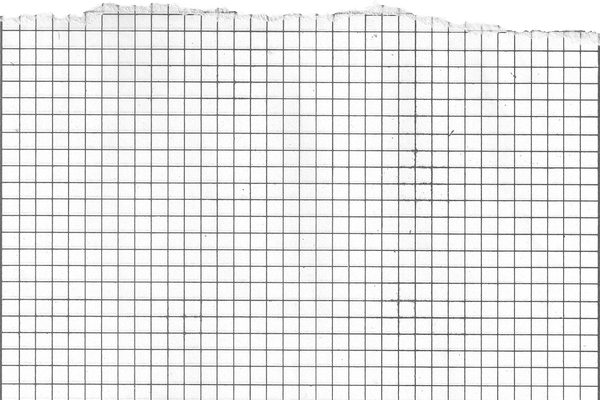 Black and White Graph Paper with One Straight Ripped Edge 